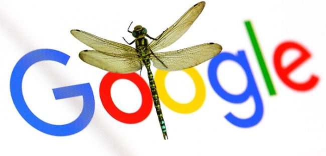 dragonfly-google.jpg